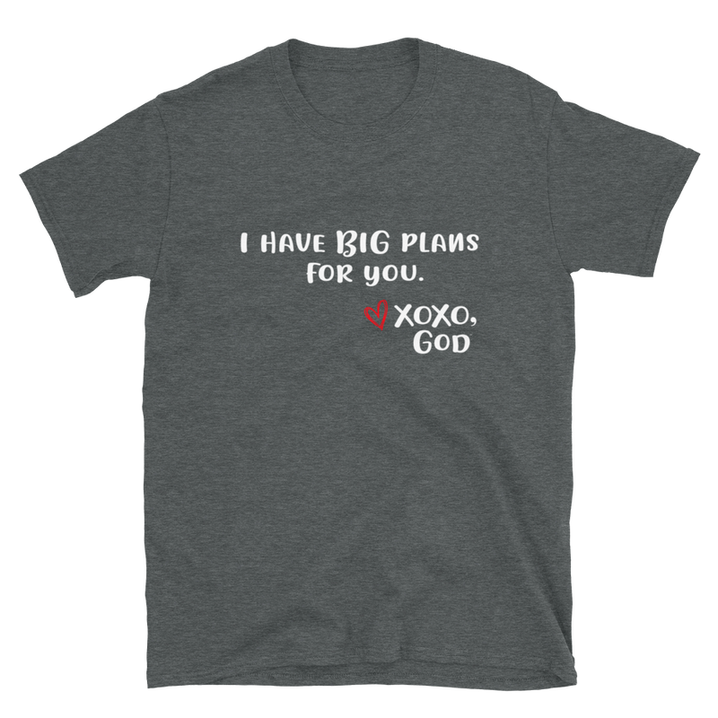 Unisex Tee - I have BIG plans for you.